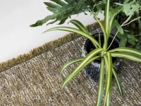 Gevlochten groen vloerkleed met franjes en een groene kamerplant.