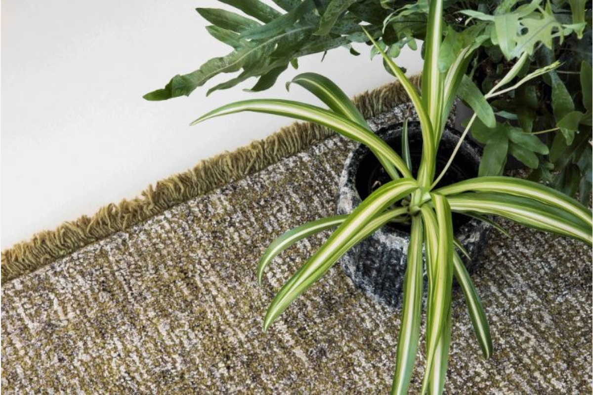 Gevlochten groen vloerkleed met franjes en een groene kamerplant.